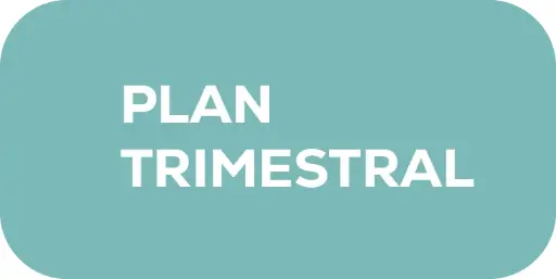 Plan Trimestral