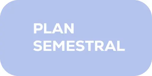 Plan Semestral